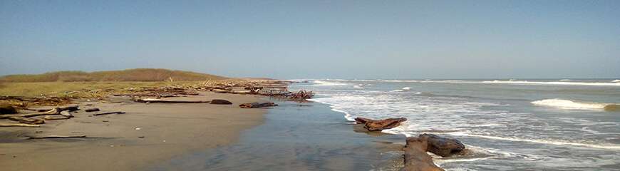 Beach between Puerto Colombia and Puerto Valero